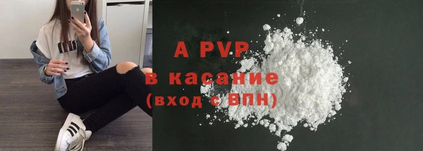 гашиш Богданович