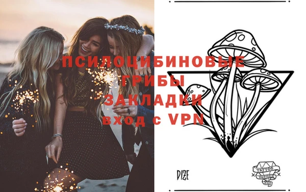 гашиш Богданович