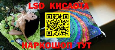 крисы Кинель