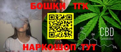 крисы Кинель